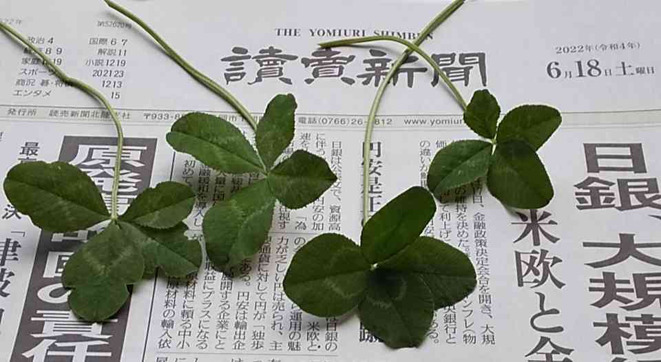 米津玄師、『GINZA』で女性ファッション誌初表紙 12ページの特集で多角的に紹介