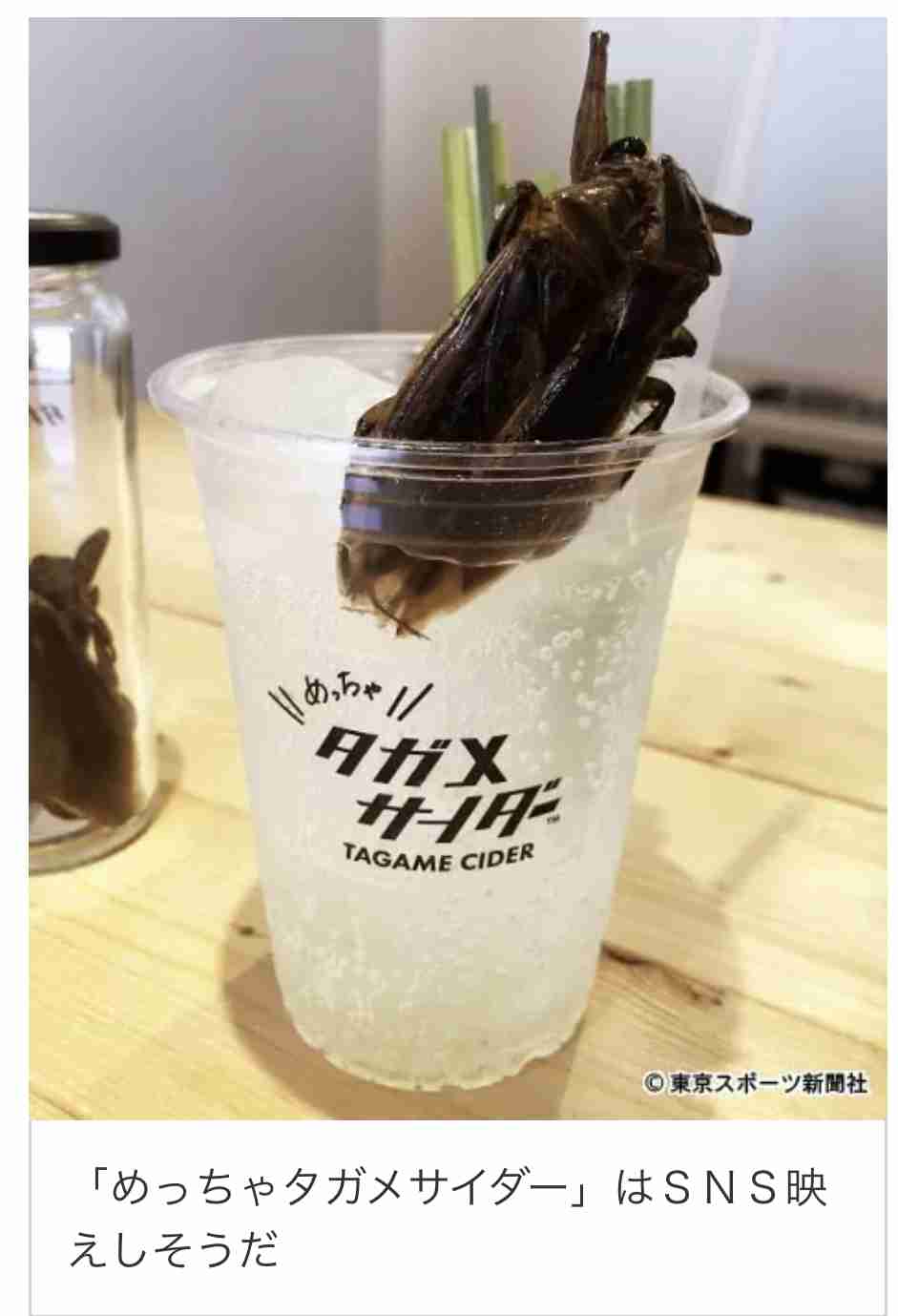 爆売れの「昆虫食」自販機　次世代タンパク源として注目