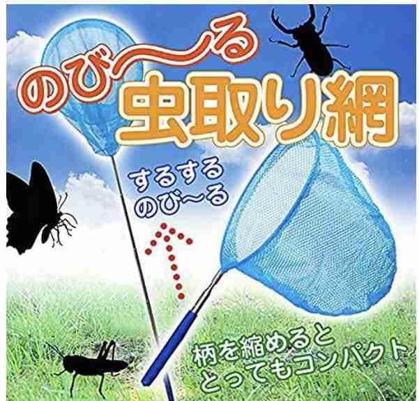 SNSで話題“触らず虫逃がす”画期的グッズ 再生回数700万回超…大学生の発明を商品化