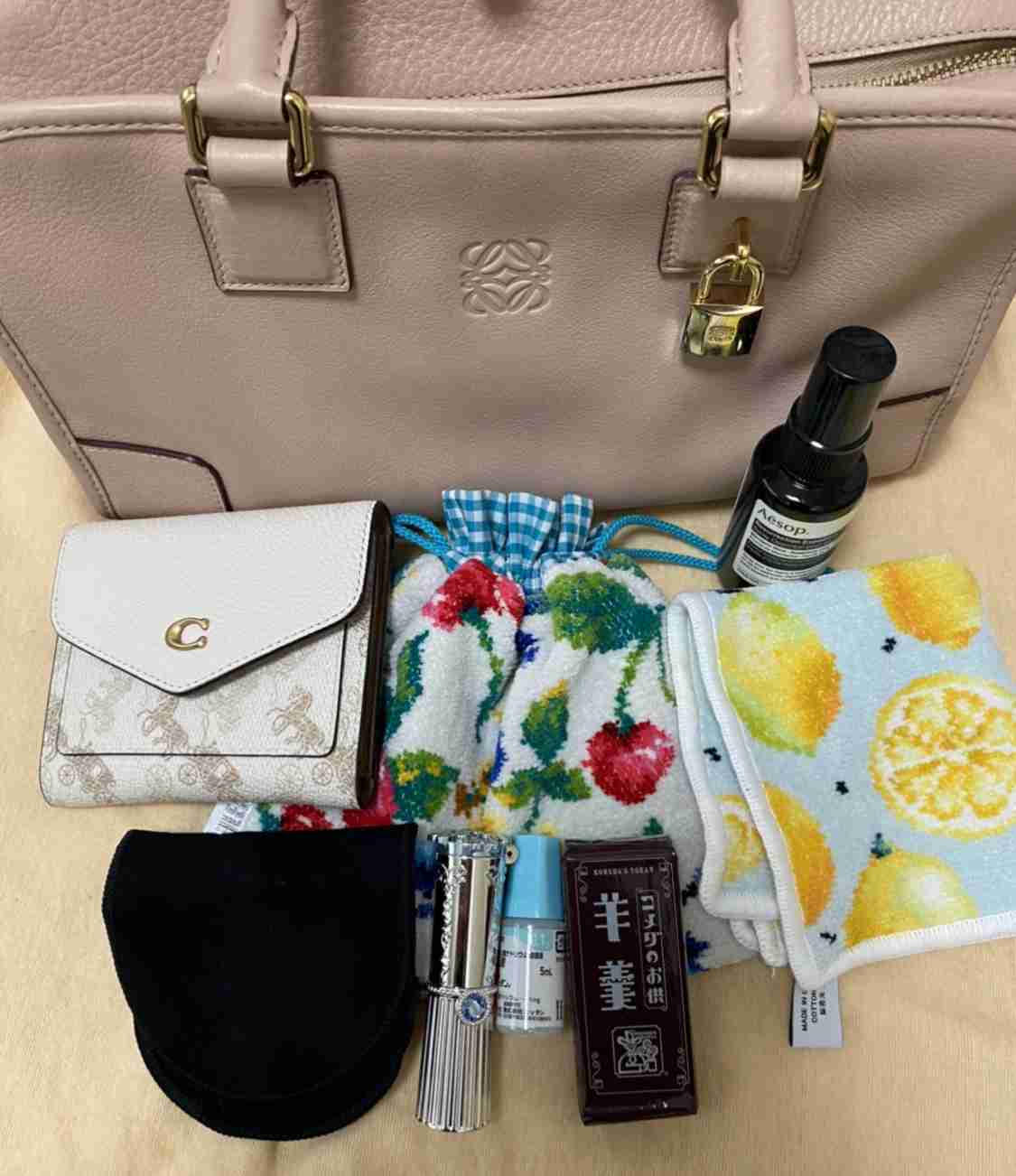バッグの中身を見せてください【2022初夏】