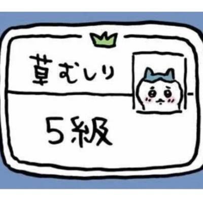 「俺はまたやる、これしか出来ない」“さい銭箱ゴロゴロ男”を逮捕!  防犯カメラ捉えた犯行の決定的瞬間