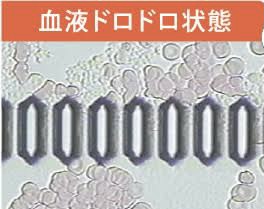 テレビを信じられなくなったきっかけ
