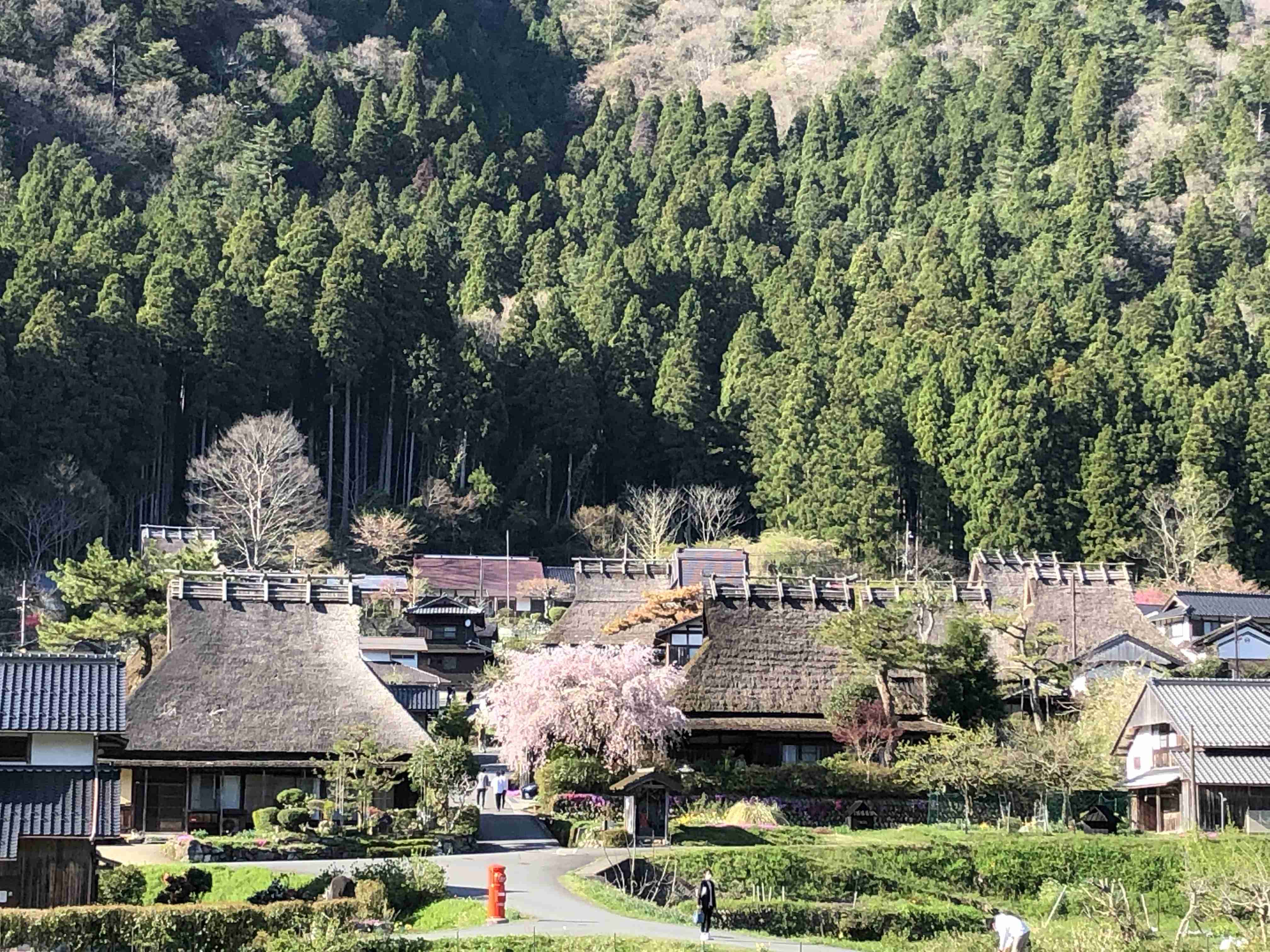 旅行の予定をみんなで立てよう（情報交換）