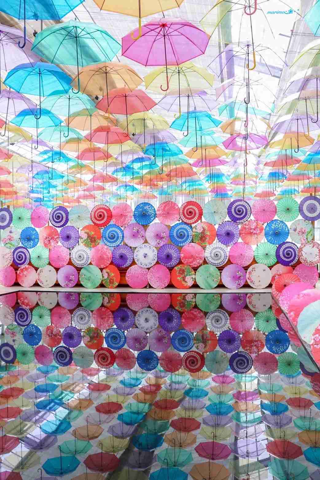 梅雨のいいところを教えて下さい【ネタ可】