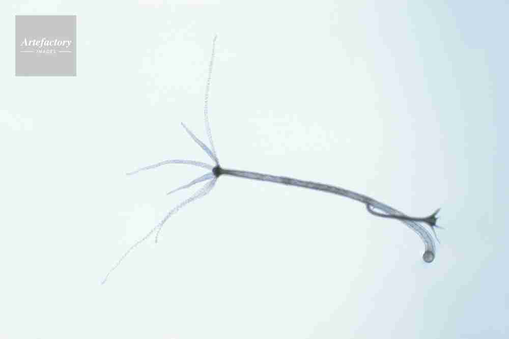 4630万円で大騒ぎしてる場合かッ！ぬくぬく国会議員のすさまじい「公金ムダ使い」