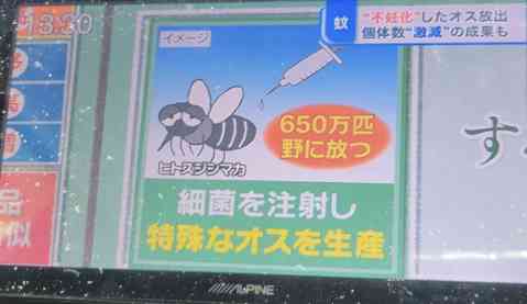 4630万円で大騒ぎしてる場合かッ！ぬくぬく国会議員のすさまじい「公金ムダ使い」