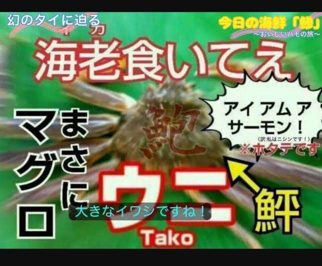 4630万円で大騒ぎしてる場合かッ！ぬくぬく国会議員のすさまじい「公金ムダ使い」