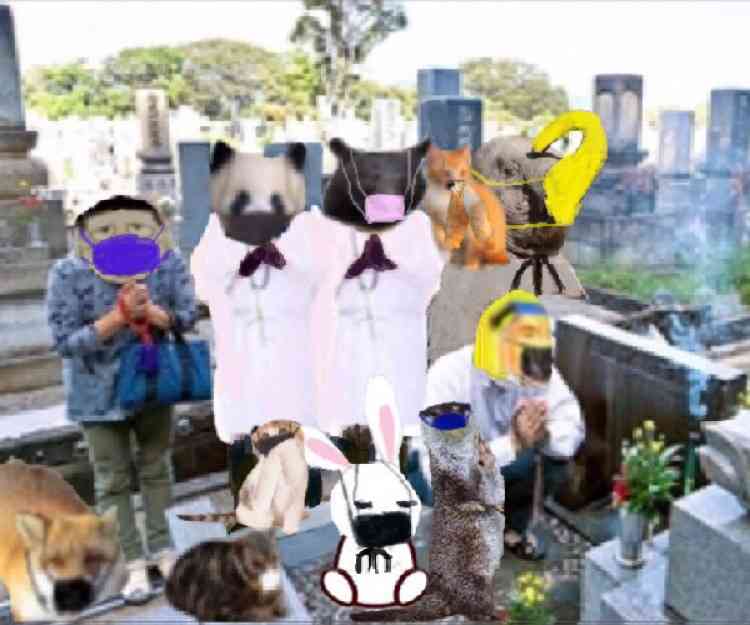 イノシシに襲われたか? 80代男性が山林で遺体で見つかる 広島・庄原市