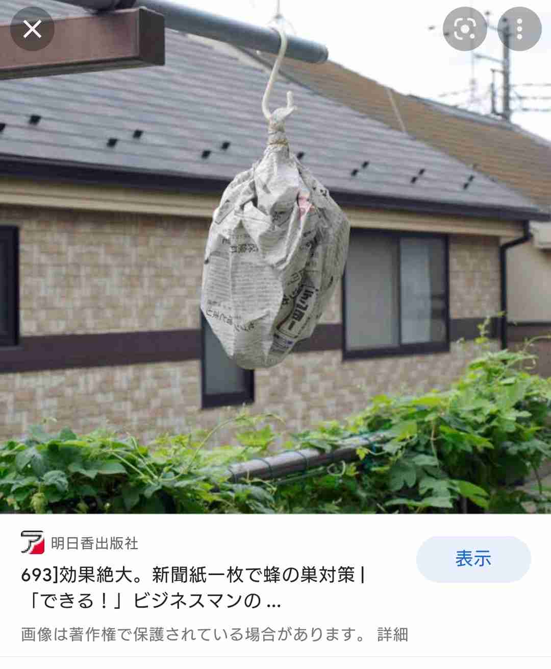 家にハチが巣を作った【求む対処法】