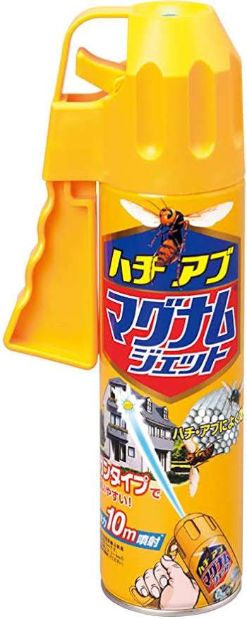家にハチが巣を作った【求む対処法】