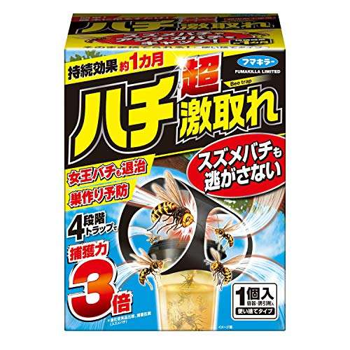 家にハチが巣を作った【求む対処法】