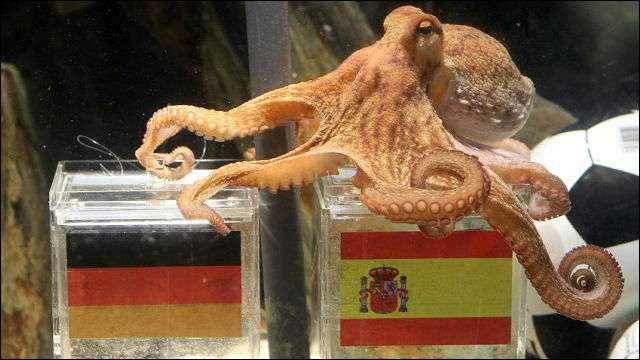 カタールW杯「全64試合スコア＆グループ順位」を米予想　日本代表は1分2敗の最下位？