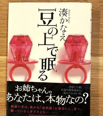 ガルちゃんで、読んだことあるのは自分だけだと思う本Part2