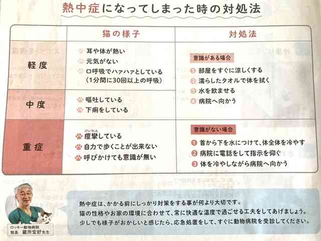 ペットの夏バテ対策