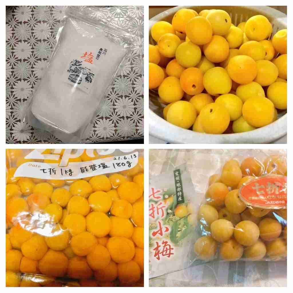 梅仕事してるガル民いる？