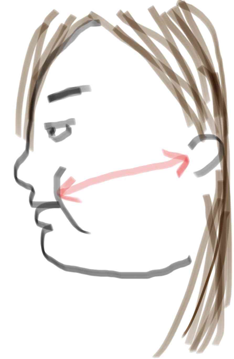 横顔ブスの人