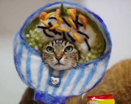 がるちゃん猫カフェ75号店開店しました♪(初めての方も大歓迎♪)