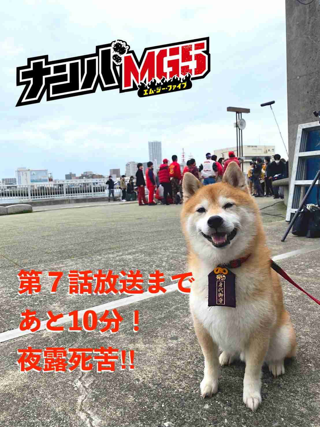 【実況・感想】ナンバMG5 #07