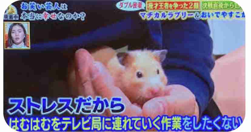 野田クリスタルの体重が激減 ファンも心配「大切な家族が亡くなったんですから」