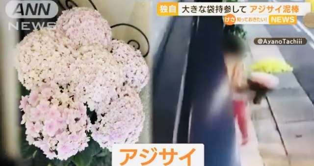 母の日に送った“大切なアジサイ”窃盗…袋持参の周到な犯人に被害者怒り