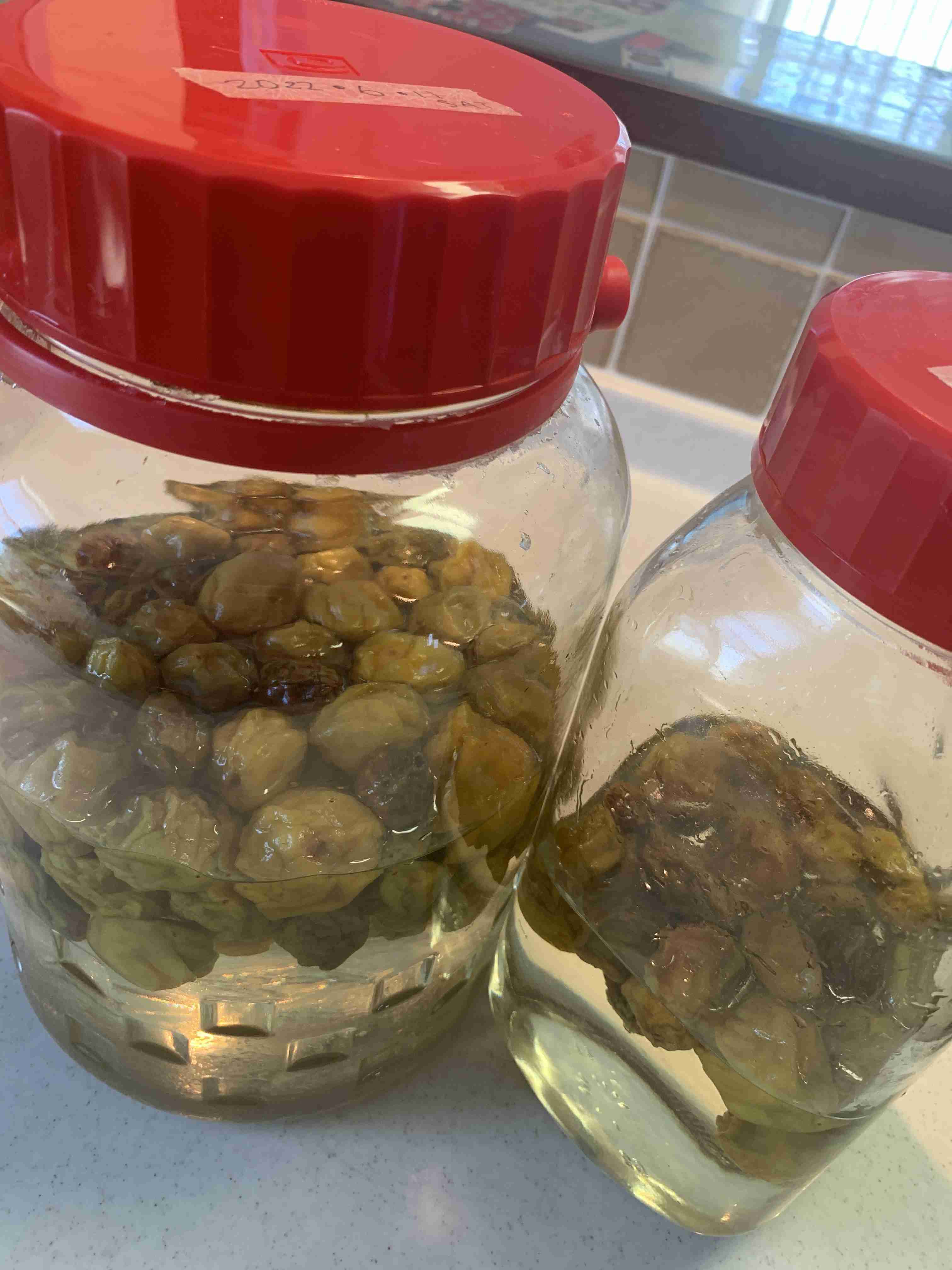 もう梅酒は漬けましたか〜？