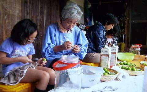 もう梅酒は漬けましたか〜？