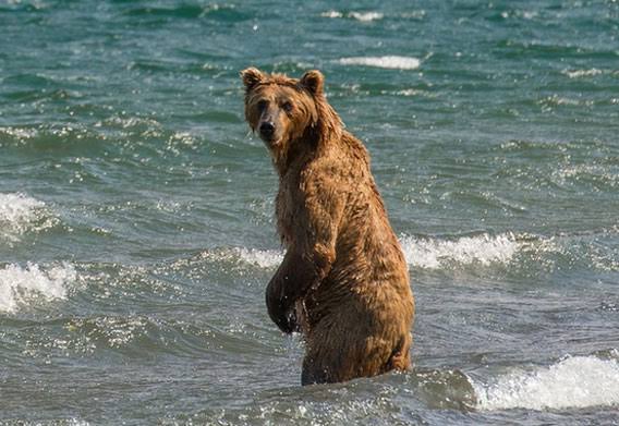 ガル民に告白してフラれるトピ