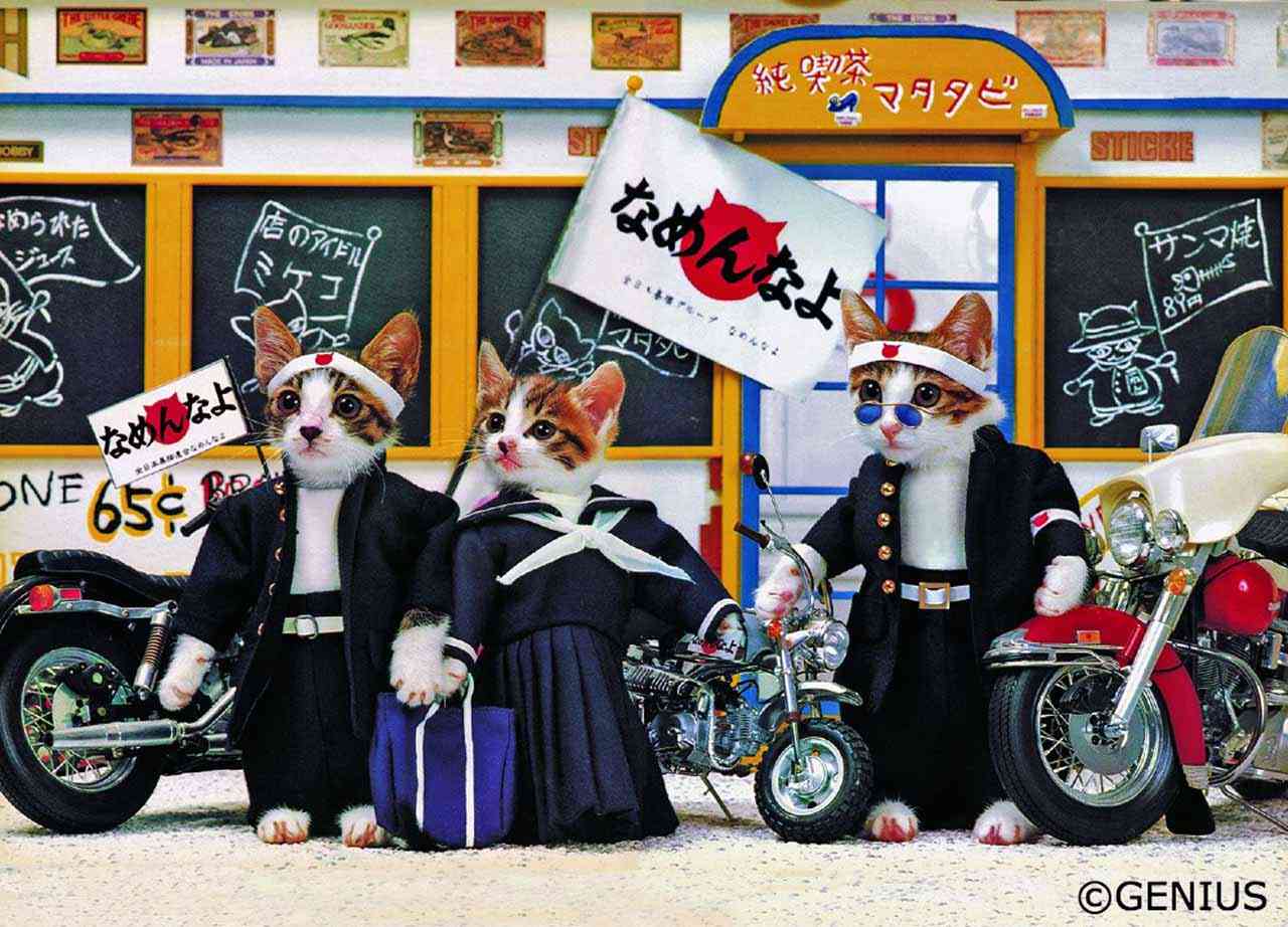 ガル民に告白してフラれるトピ