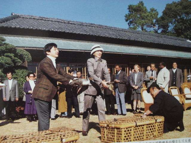 横目する人、すること