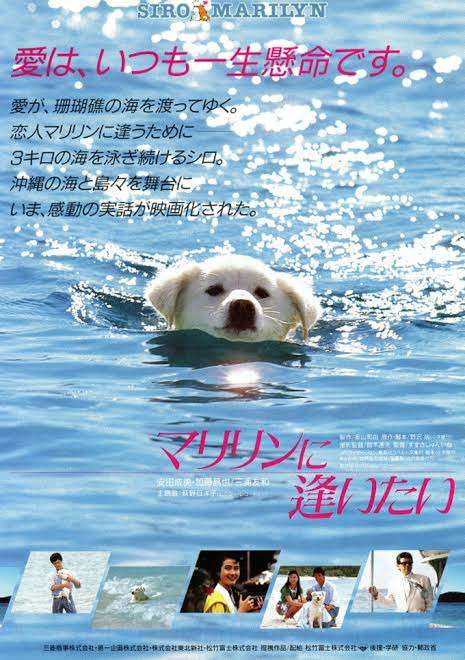 ピュアな恋愛映画