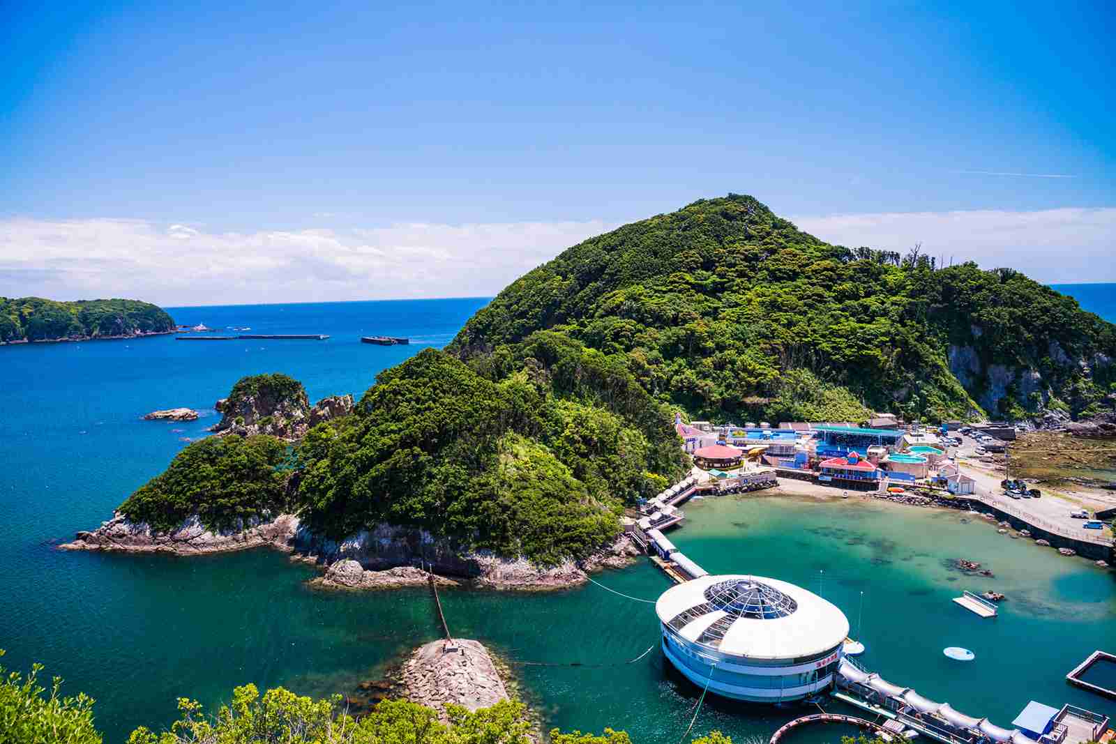 【全国どこでも】おすすめ水族館