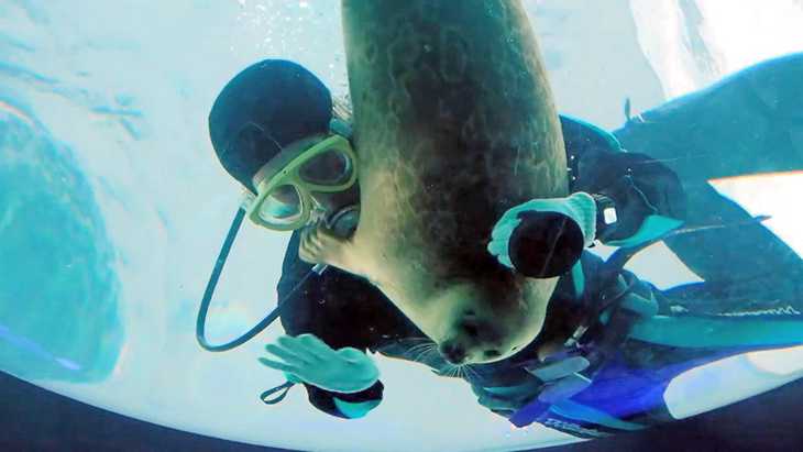 【全国どこでも】おすすめ水族館