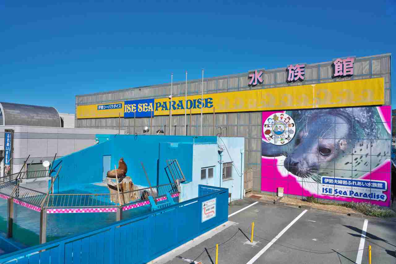 【全国どこでも】おすすめ水族館