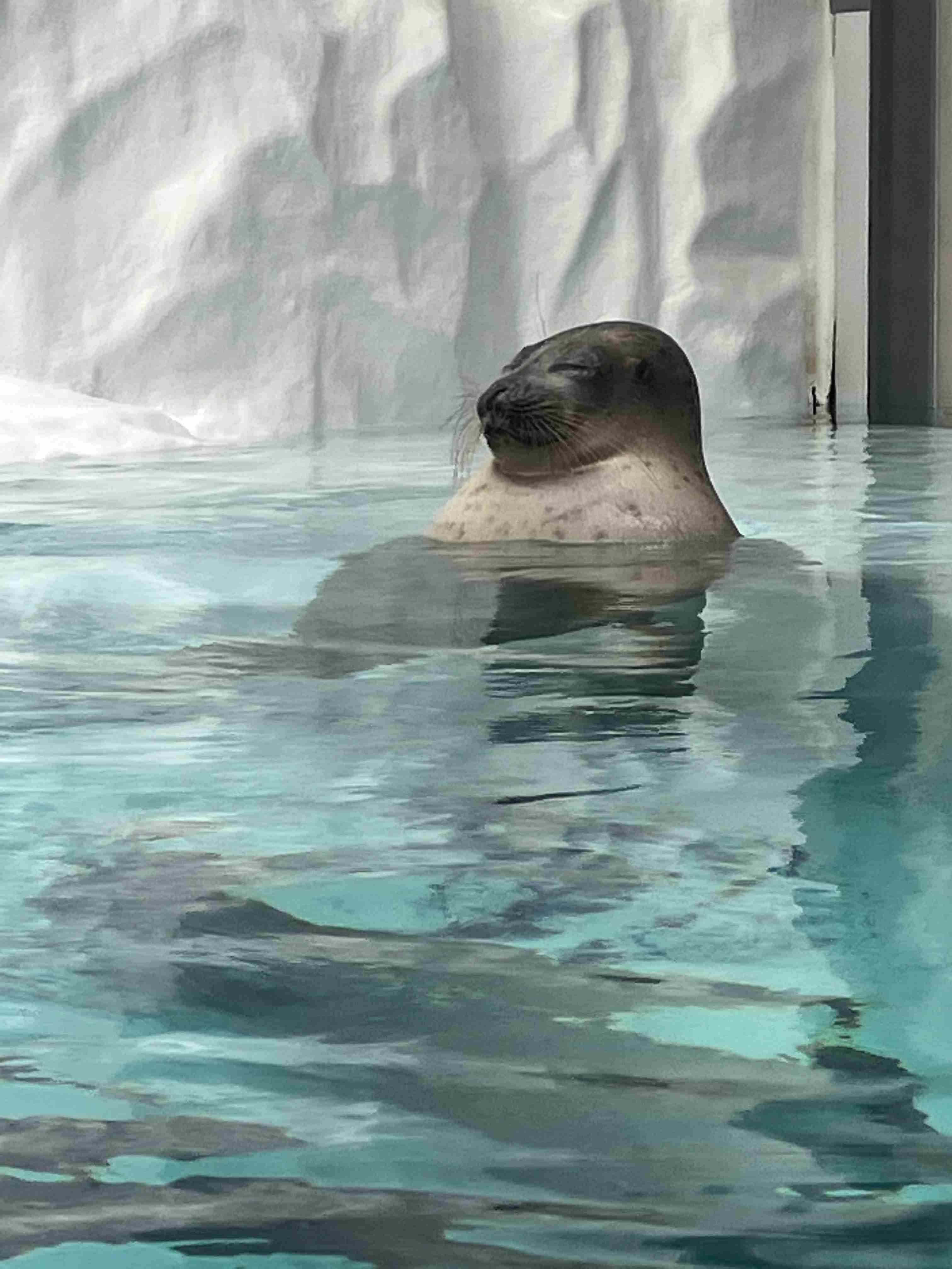 【全国どこでも】おすすめ水族館