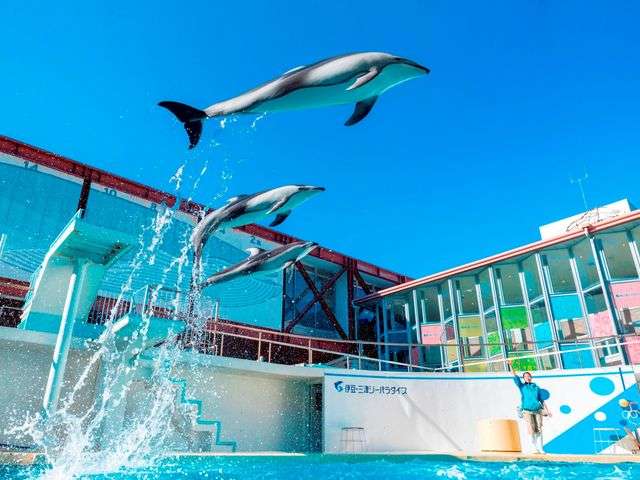 【全国どこでも】おすすめ水族館