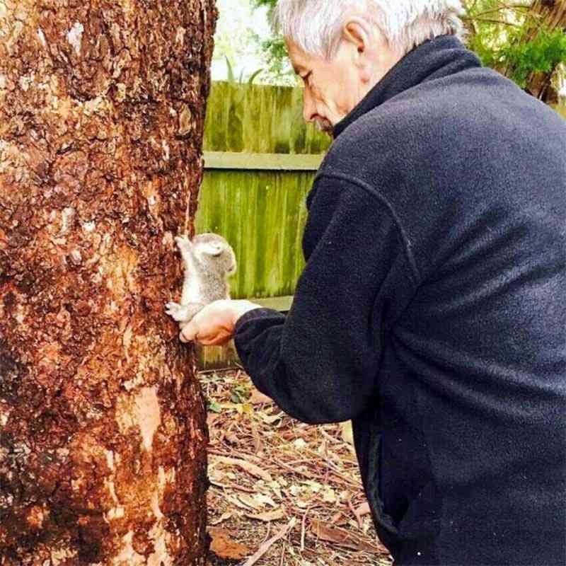 動物の赤ちゃん画像