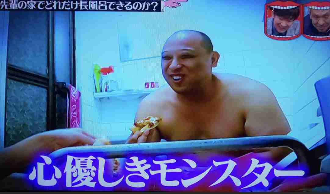 動物の赤ちゃん画像