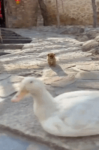 分からない程度の仕返し