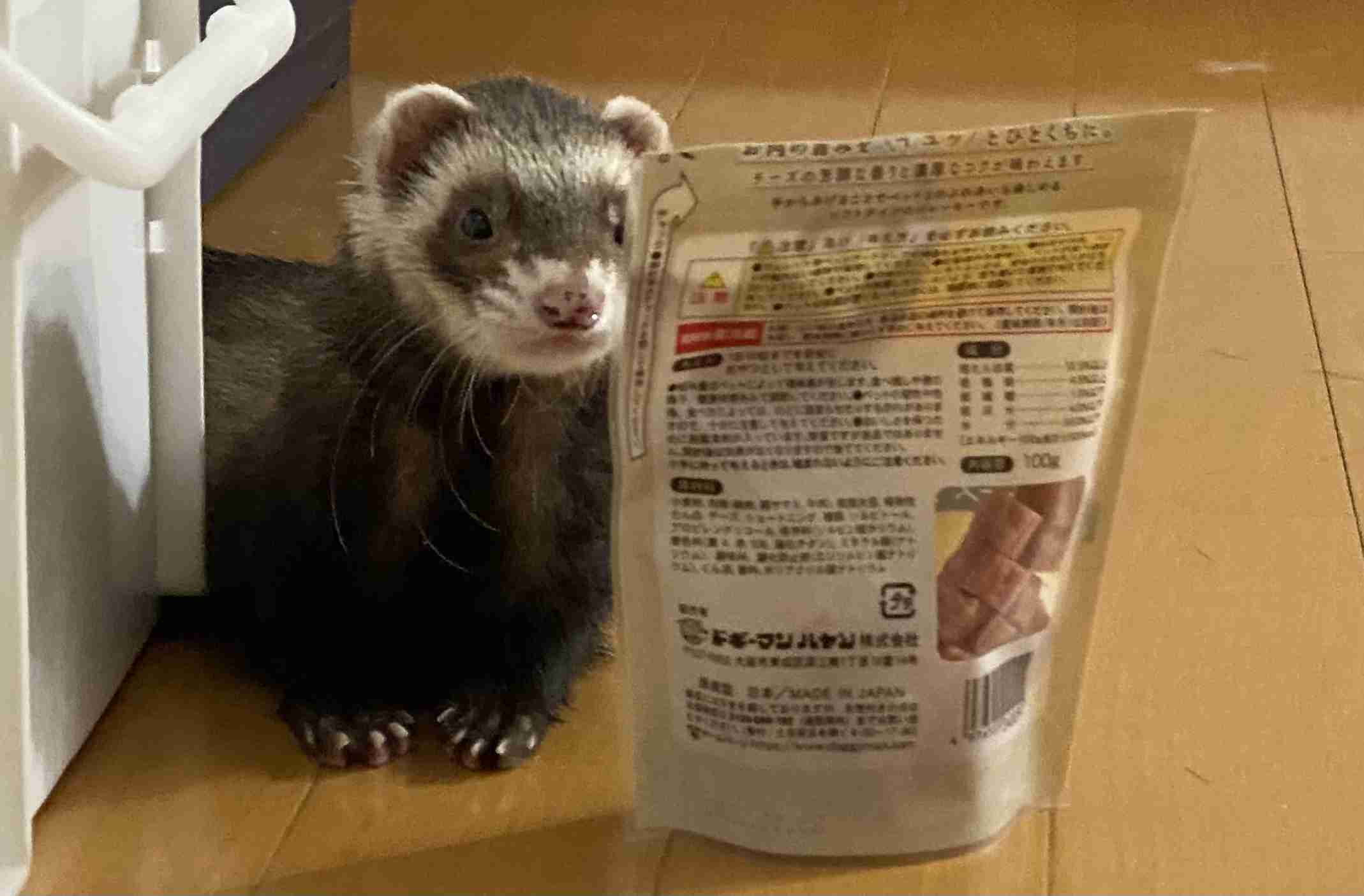 ペットの飼育相談所 part2
