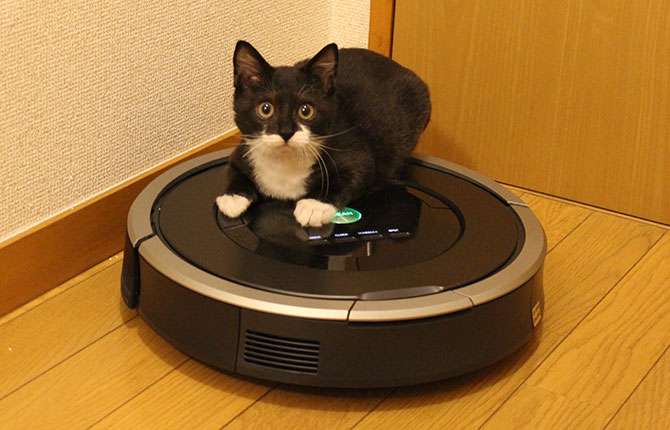 家事のちょっとした困り事を書くと、誰かがアドバイスをくれるトピpart5