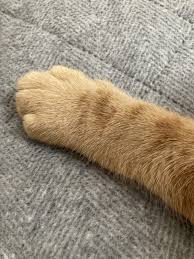 美しい手が見たい【画像】Part2