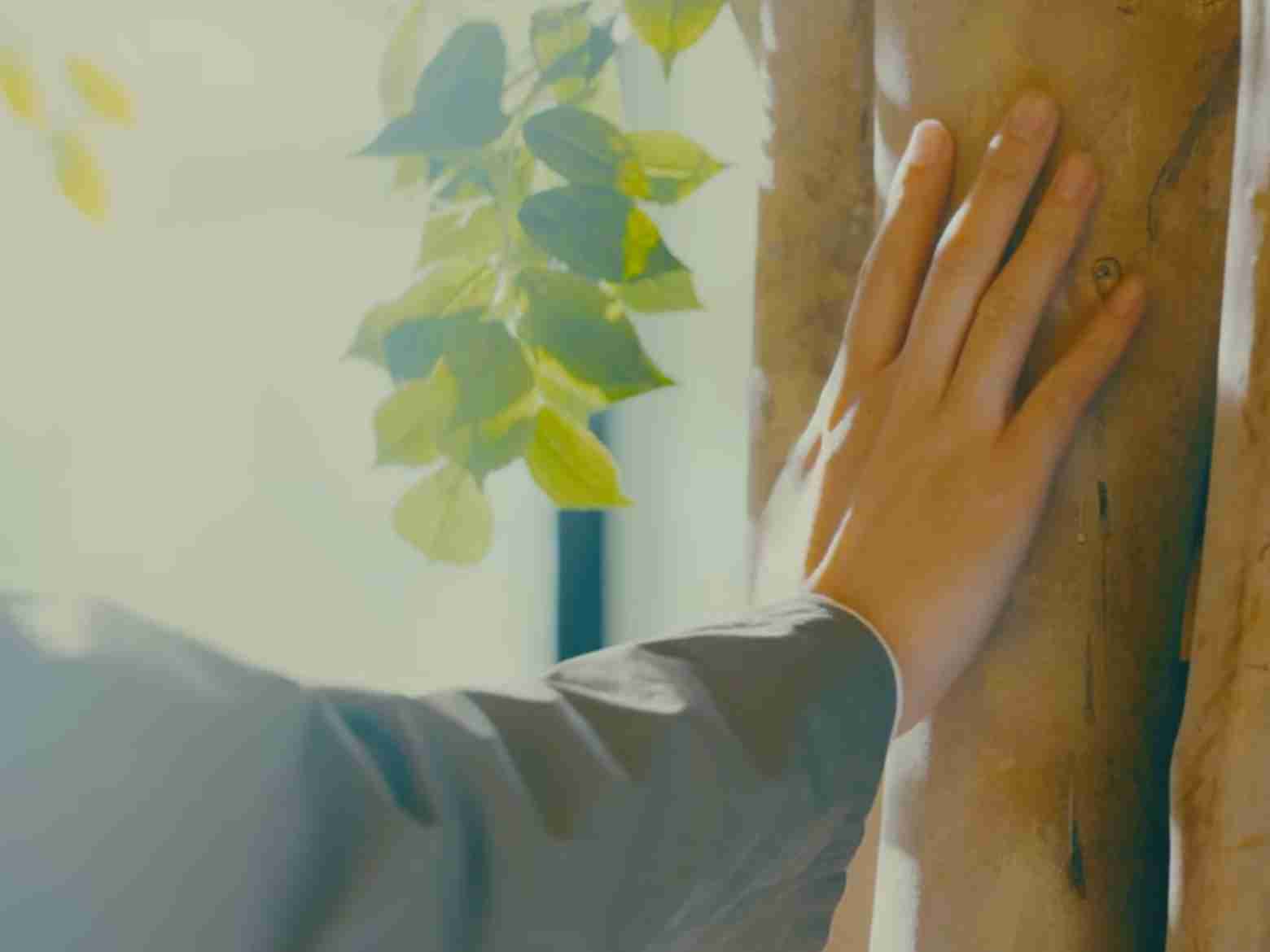 美しい手が見たい【画像】Part2