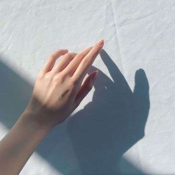 美しい手が見たい【画像】Part2