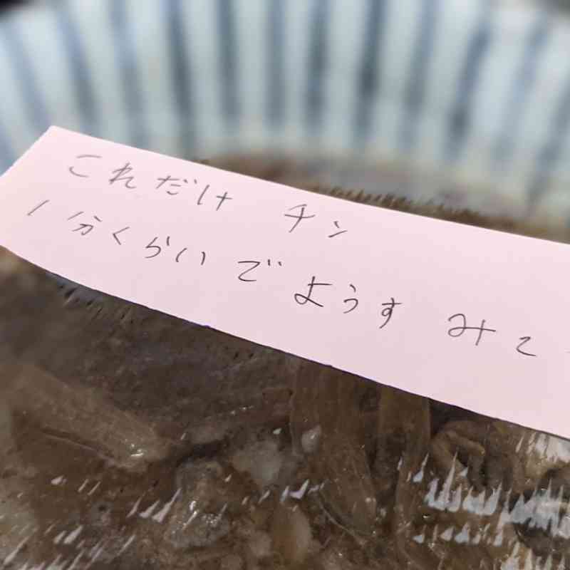 才賀紀左衛門の恋人がブログ新設 妊娠6カ月「パートナーのえり」と自己紹介 ラブラブ写真も