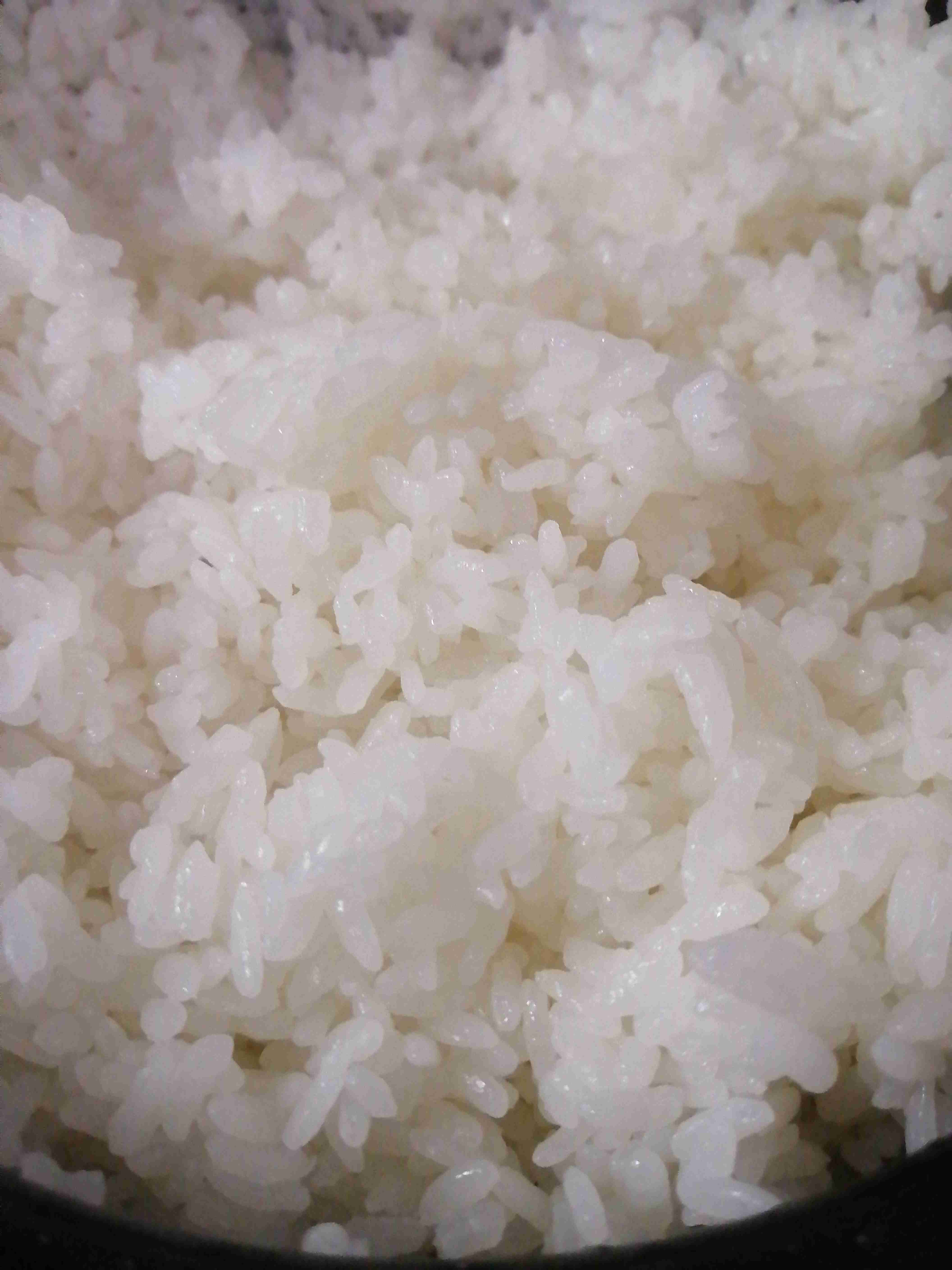 ぼっちcafé / まったりトーク【13号店】