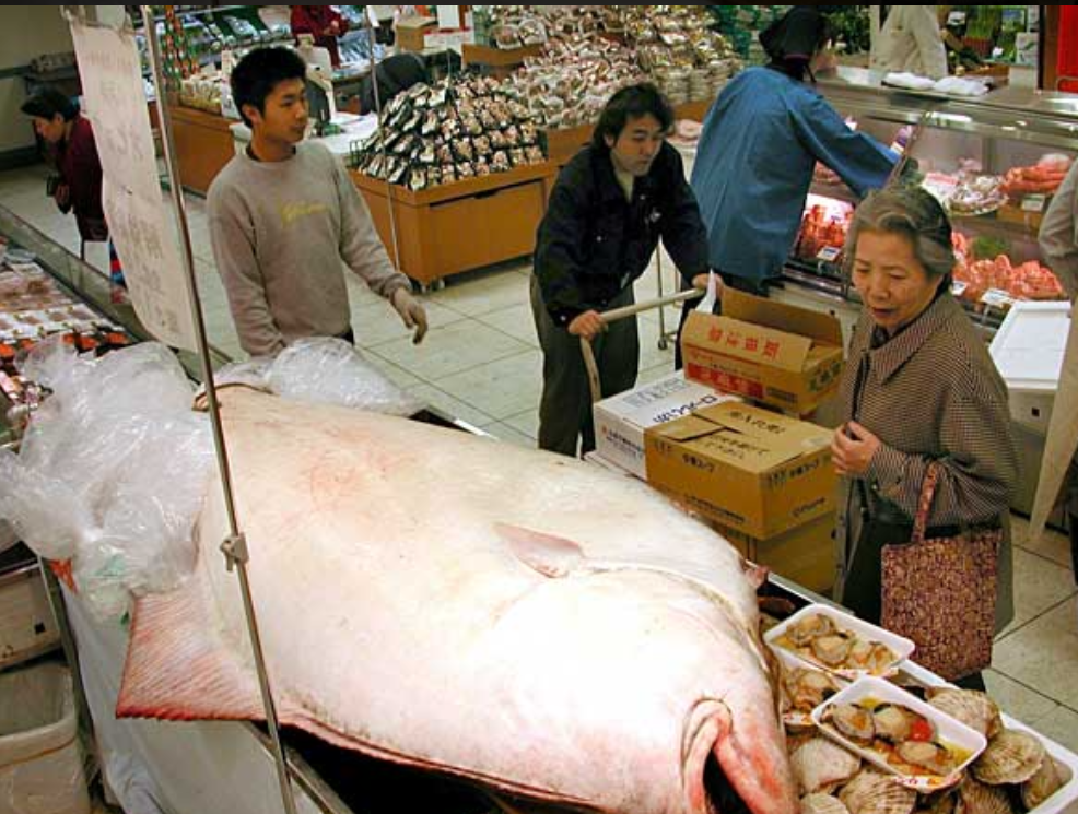 🍳昭和の料理画像🍲