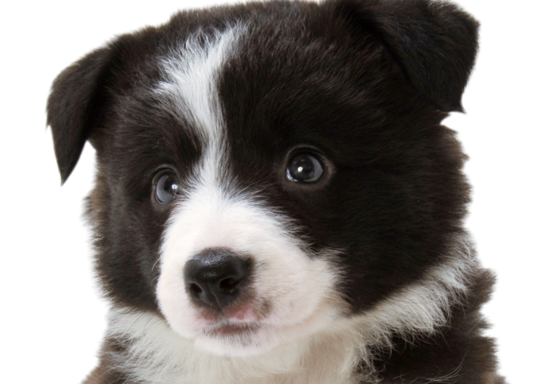 いろんな中村倫也さんが見たい　part6