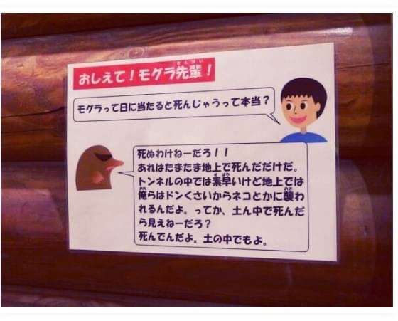 信じてよ‼︎本当なんだよ‼︎エピソード パート6‼︎
