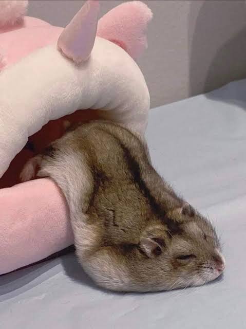 【募集】暑さで溶けてる画像