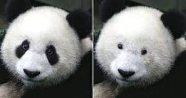 クマ取り手術した事ある人